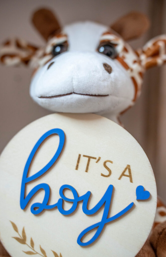 heartbeat bear its a boy ultrasound scan new Hampshire massachusetts londonderry Manchester Boston Lowell ma nashua nh